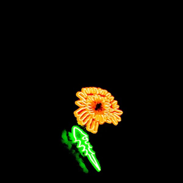 album_cover_image