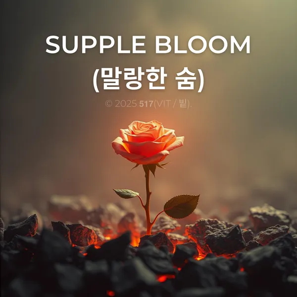 album_cover_image